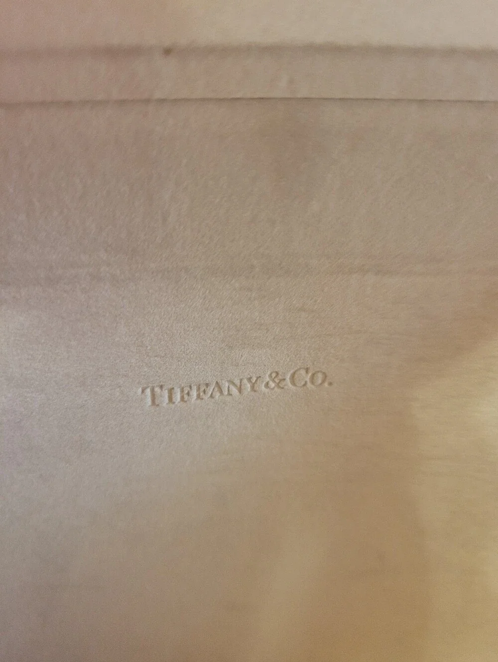 Tiffany & Co. Signature Blue Eyewear Case!